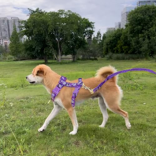 2 Pack Cat Harness and Leash Set with Collar, Escape Proof & Adjustable Kitten Harness for Small to Medium Cats, Walking &...
