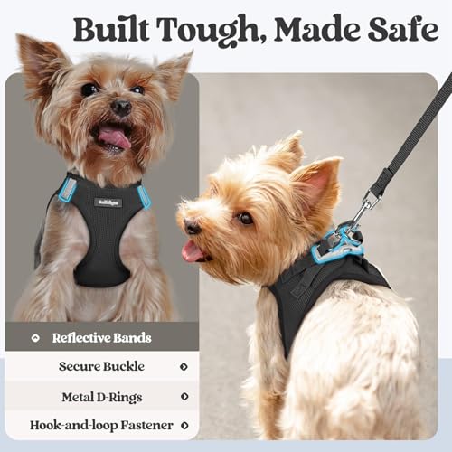 rabbitgoo Dog Harness Small Sized and Leash Set, Step in Soft Light Puppy Vest, Breathable Mesh Pet Harness, Reflective fo...