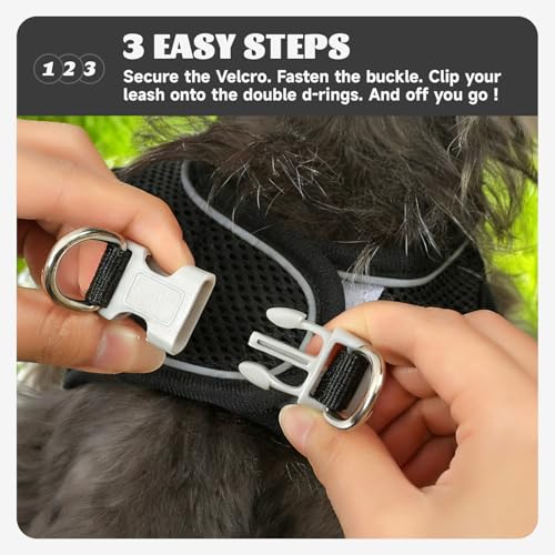 Bolux Dog Harness Small Sized and Leash Set, Step in Soft Light Puppy Vest, Breathable Mesh Pet Harness, Reflective for Sa...