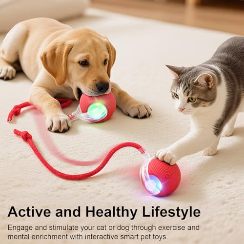 SilveWillo Interactive Electric Automatic Rolling Moving USB Rechargeable Self Activated Play Stimulation Toy Smart Chase ...