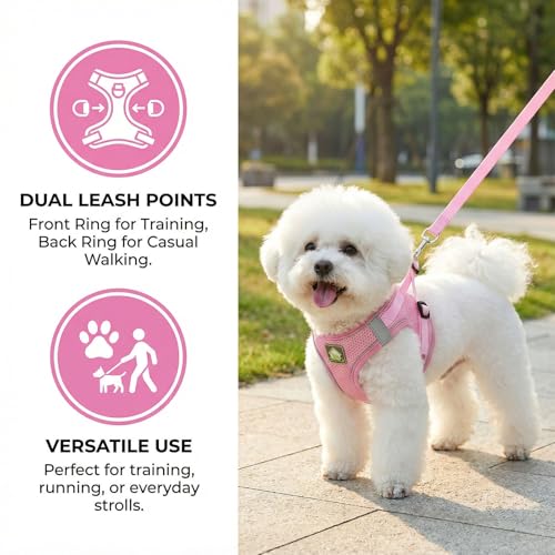 Dog Harness with Leash Set, No Pull Adjustable Reflective Step-in Puppy Harness with Thickened Padded Vest for Extra-Smal...