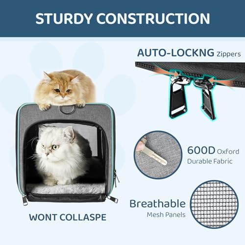 GAPZER Soft-Sided Pet Carrier for Air Travel 18x11x11 Inch - Underseat Cabin Carry Bag for Small Cats & Dogs Under 15 lbs