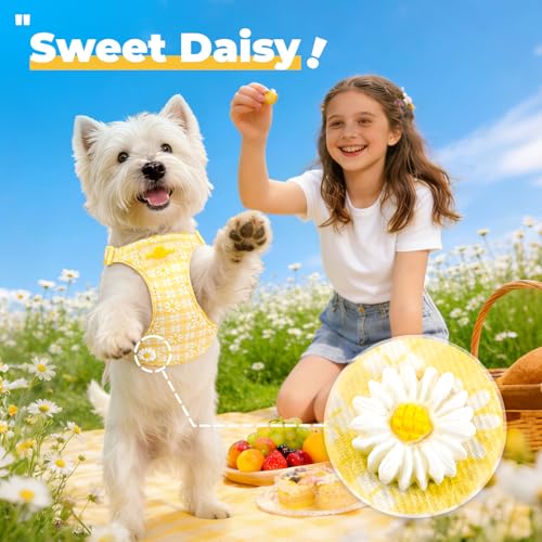 PETCARE Cute Small Dog Harness and Leash Set Yellow Floral Daisy Puppy Harness Vest Adjustable Step in Spring Summer Soft ...