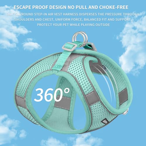 AIITLE Dog Harness, No-Pull Cat Harness with a Leash, Adjustable Reflective Dog Vest, Cat Harness Escape Proof, Outdoor Wa...