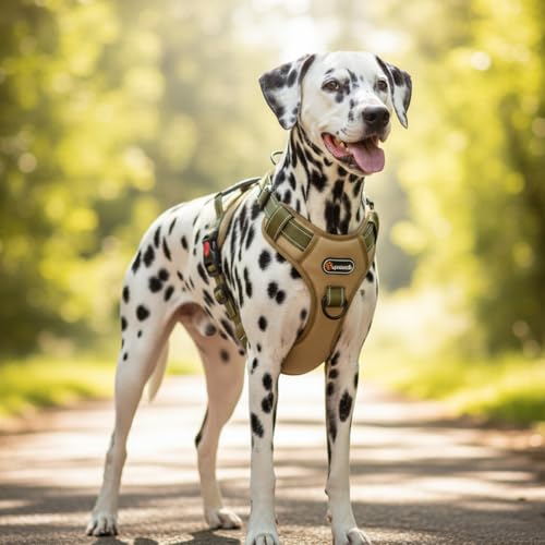 LUVMOJO Tactical Dog Harness and Leash Set, No Pull Adjustable Heavy Duty Pet Vest with Handle, Reflective Harnesses and L...