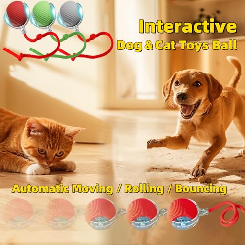 Interactive Dog Cat Toy Ball, Automatic Moving Bouncing Rolling, with Replacement Tail, Pet Smart Chase Ball Rechargeable,...