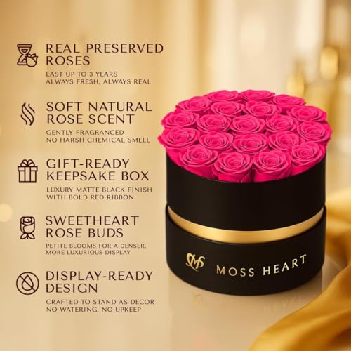 Moss Heart 20 Mini Preserved Roses, Round Luxury Gift Box, Real Forever Roses Last 1+ Year, Premium Romantic Gift for Wome...