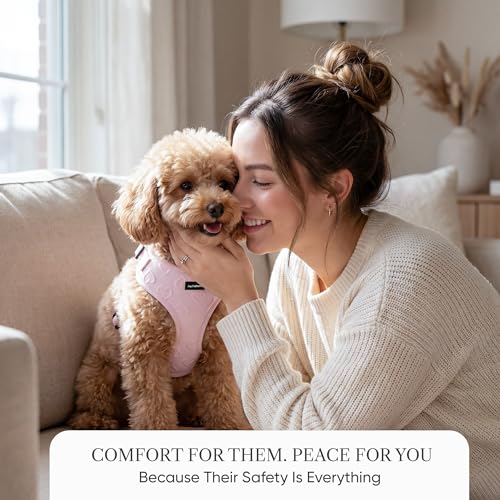 JoyCrafted-FBL No Pull Dog Harness & Leash Set | Lightweight Breathable Neoprene, Cute Heart Pattern, Adjustable Step-In V...