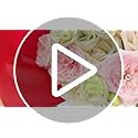 NESCCI 20 Sheets Flower Wrapping Paper - Waterproof Floral Bouquet Wrapping Paper, Florist Supplies Packaging Paper for We...