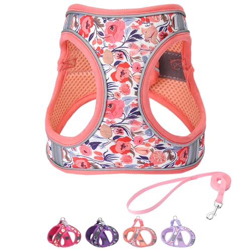 Step in Dog Harness and Leash Set, Flower Adjustable Easy Walk Puppy Harnesses, Soft Mesh Pet Vest Harness Small Size Dog ...