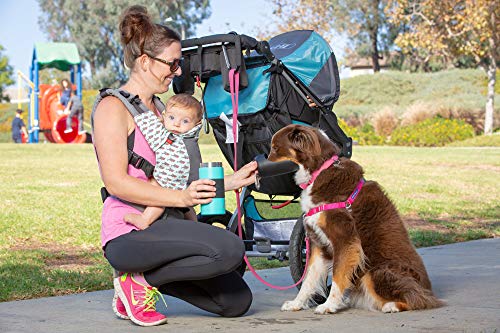 PetFusion Portable Dog Water Bottle & Dispenser (New-Large 22oz Dispenser) Insulated 2 Wall Stainless Steel- Optimal Cool ...