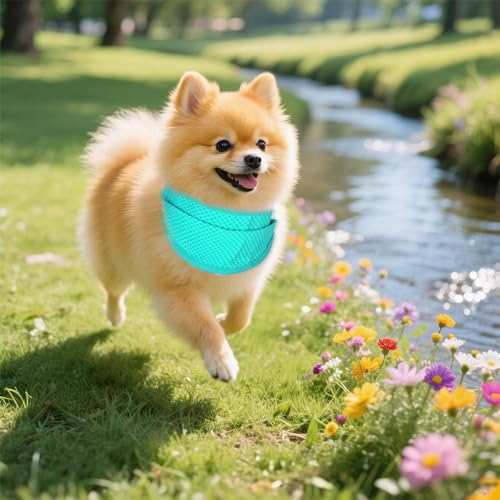 hoyuwak 2 Pack Instant Cooling Dog Bandana Scarf & Vest – Reusable, Adjustable Pet Cooling Bandana for Dogs, Summer Essent...