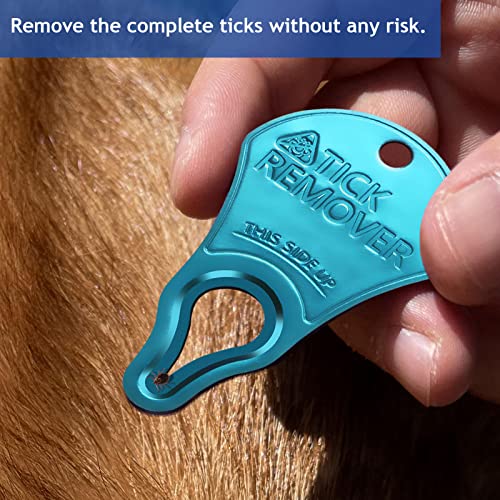 JOTOVO 3 Pack Tick Remover Tool Portable, Tick Removal for Pet and Humans, Safe and Reliable, Pain-Free, Essential Tools f...