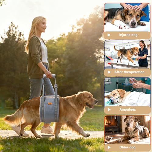 Dog Lift Harness for Medium Dog, Adjustable Dog Sling for Back Legs, Hip Support Harness to Help Lift Dogs Rear for Helps ...