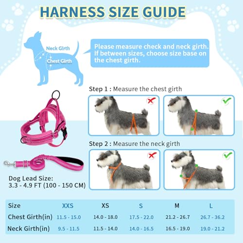 SlowTon No Pull Small Dog Harness and Leash Set, Puppy Soft Vest Harness Neck & Chest Adjustable, Reflective Lightweight H...