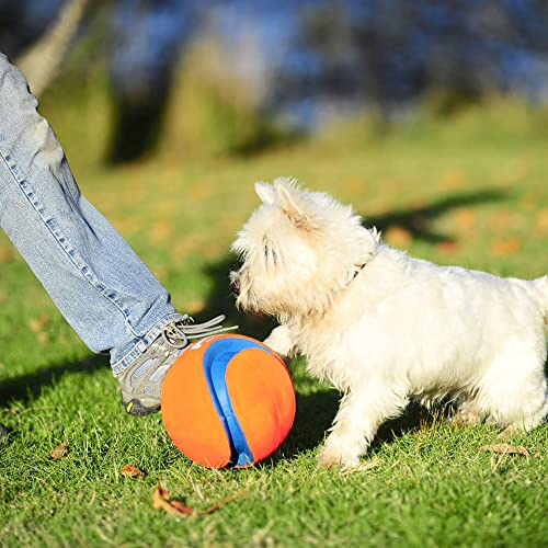 Chuckit! Kick Fetch Ball Dog Toy - Floats in Water - Perfect for Interactive Play - Made with Durable Rubber and Foam - Fo...