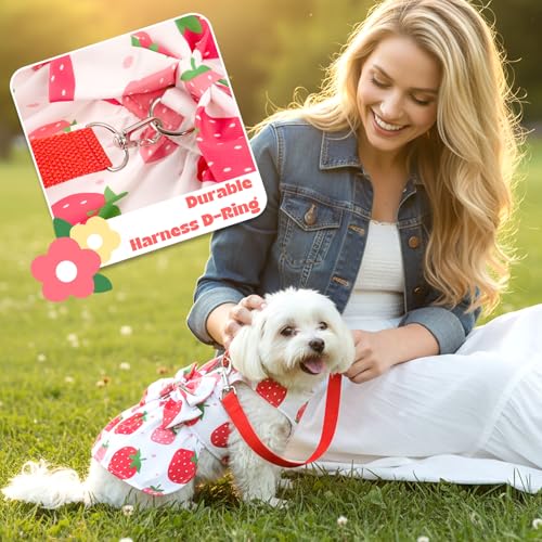 BAOBICUTE Dog Dress Harness Dresses Leash Set for Small Dogs Cute Girl Dog Clothes with Bowknot Puppy Outfits for Shih Tzu...