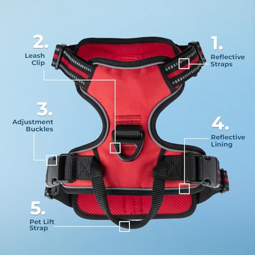 Voyager Dog Harness Dual Leash Attachment No-Pull Control Adjustable Soft but Strong Pet Harness for Medium and Large Dogs...