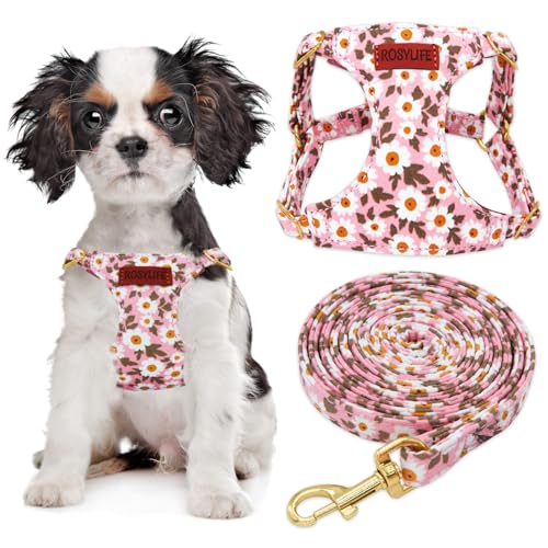 RosyLife No Pull Dog Harness & Leash Set, Adjustable XX-Small, Pink Daisy, Fashionable, Cute, Stylish, Escape Proof, Inclu...