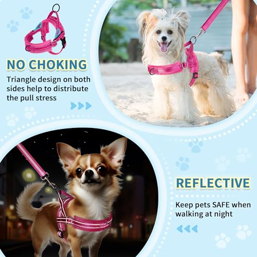 SlowTon No Pull Small Dog Harness and Leash Set, Puppy Soft Vest Harness Neck & Chest Adjustable, Reflective Lightweight H...