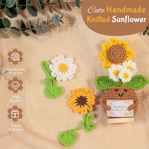 Thank You Gifts for Women – Sunflower & Daisy Gift Box Set with Thank You Cards – Teacher Appreciation, Birthday, Coworke...