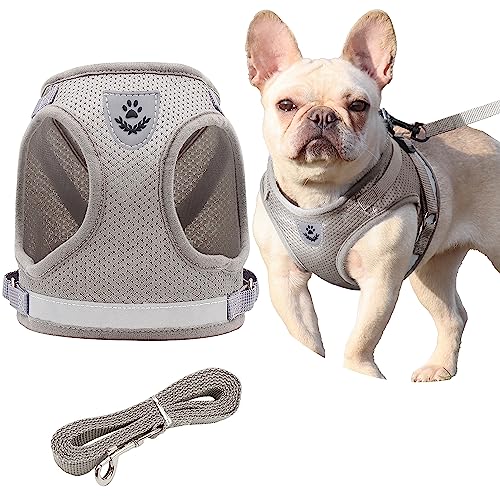 Petbuy Step in Dog Harness and Leash Set,Reflective Adjustable Soft Mesh Breathable Pet Vest Dog Harnesses Set, No Chock N...
