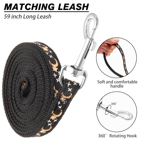 SCIROKKO Cat Harness and Leash Set - Escape Proof Adjustable for Outdoor Walking with Safety Buckle for Small Animals Glow...