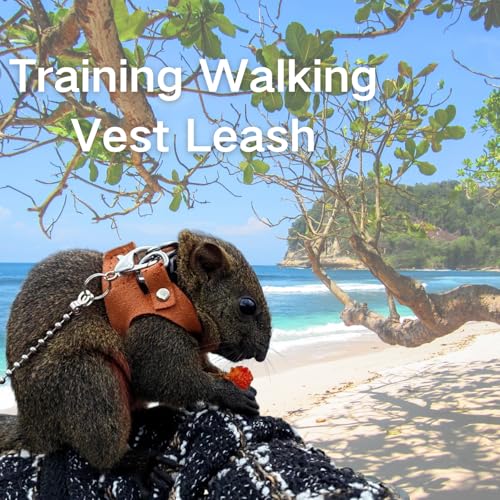 3 Pack Squirrel Harness and Leash Set - Adjustable Soft Leather & Traction Rope Strap Anti-Biting Chainfor Small Pet Walk ...