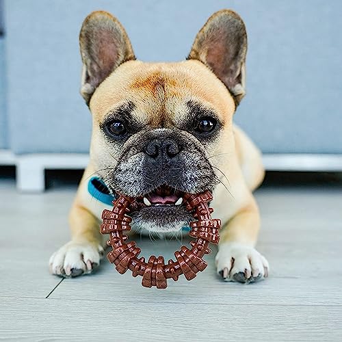 Nylabone Textured Ring Power Chew Toy for Small Dogs, Tough Dog Toys Durable Design for Aggressive Chewers, Best Dog Bored...