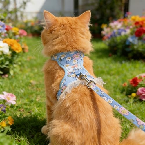 Cat Harness and Leash Set, Sweet Floral Kitten Collar, Escape Proof Small Dog Harness with Organza Ruffles, Cute Blue Dog ...