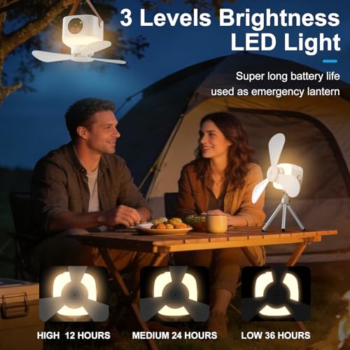 Liomus Portable Camping Fan with Lights,LED Hanging Ceiling Fan With Remote&Timer, 9.25" Wireless Rechargeable Tent Fan,4 ...