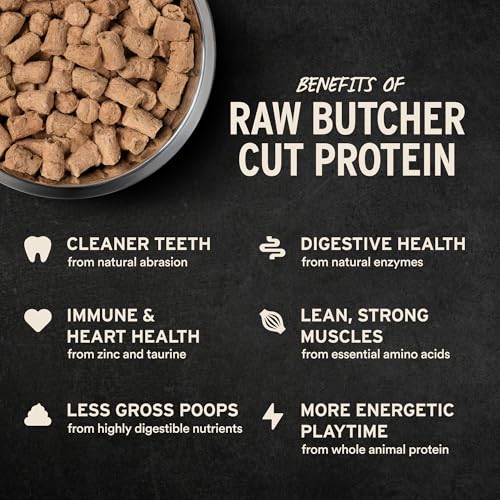 Vital Essentials Freeze Dried Dog Food, Raw Beef Soft Nibs | Complete Meal or Topper | 98% Beef, Organs & Bone | Limited I...