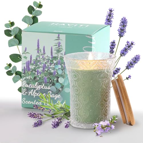 HAVITI Eucalyptus & Alpine Sage Scented Candle, Galentines Valentines Mother's Day Soy Jar Candles Gift Men Women,8 OZ Aro...