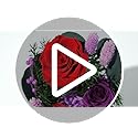 CuteWelt Preserved Roses,Forever Fresh Flowers 7.48in,Gift for Women,Mom,Grandma,Wife,Girlfriend,Sister,and Daughter Perfe...