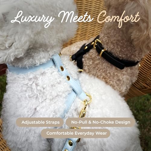 Luxury No Pull Dog Harness and Leash Set, PU Leather Escape-Proof Design, Anti-Choke Comfort, Front/Back Attachment, Essen...