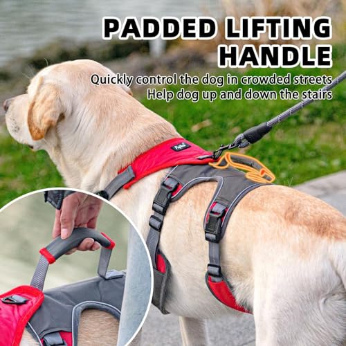 PUPTECK Escape Proof Dog Harness and Leash Set Upgraded No Pull Reflective Dog Vest with Lift Handle, Easy Control Pet Har...
