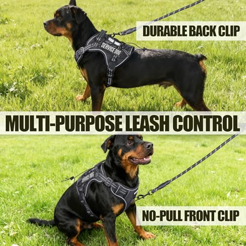 Service Dog Tactical Vest Harness and Leash Set Large Sized Dog Emotional Support- Tactical Dog Harness Training Collar wi...