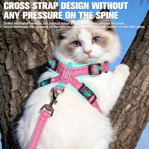 EXPAWLORER Escape Proof Cat Harness and Leash Set - Soft Breathable Vest Harness with Adjustable for Kitten Puppy Outdoor ...