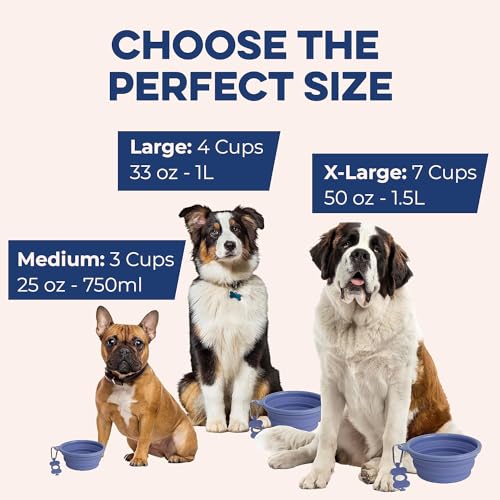 Bonza Collapsible Dog Bowls - Small 12 oz, Dog Travel Accessories, Silicone Portable Dogs Bowl & Water Dish with Reinforce...