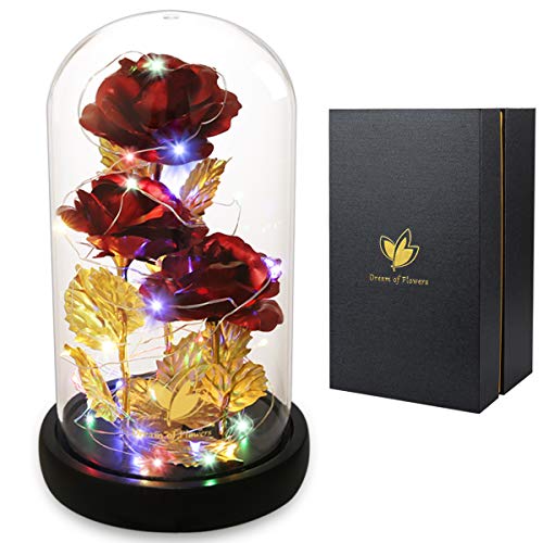 Mothers Day Flower Gifts for Mom,Wife,Mother Rose Galaxy Flower Red Rose in Glass Dome,Light Up Rose Flowers with 2 Lighti...