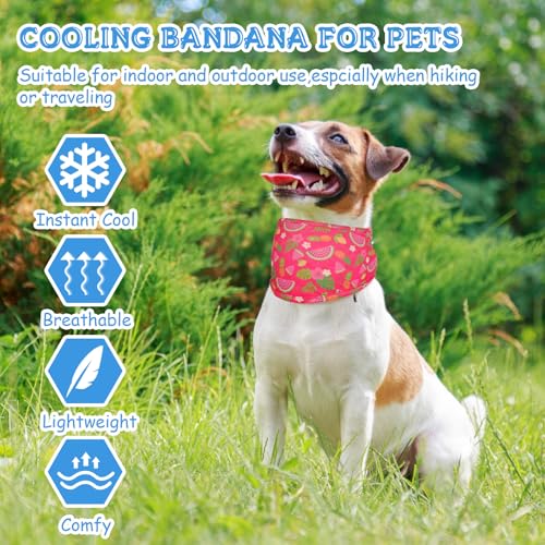 Dansydaisy 5 Dog Cooling Bandanas Dog Instant Cooling Neck Wraps Basic Collars Breathable Ice Scarf Pet Heat Relief Collar...