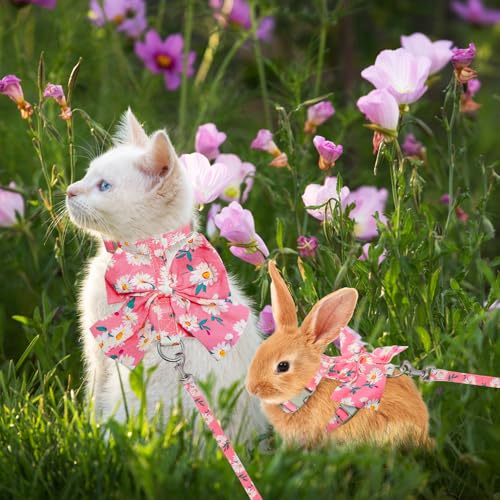 PAWCHIE Cat Harness and Leash Set with Bow Knot,Cats Escape Proof-Adjustable Daisy Floral Kitten Harness Soft Outdoor Walk...