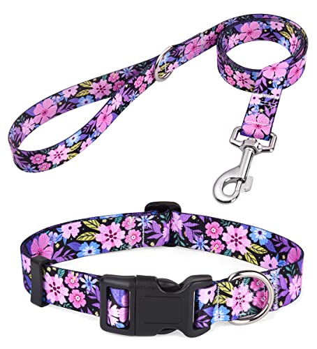 Mihqy Dog Collar and Leash Set with Bohemia Floral Tribal Geometric Patterns - Soft Ethnic Style Collar Adjustable for Sma...