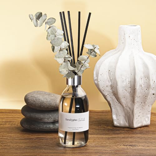 Clesh Reed Diffuser Set, 6.7 oz Eucalyptus Scented Diffuser with Sticks, Home Fragrance Reed Diffuser for Bathroom Shelf D...