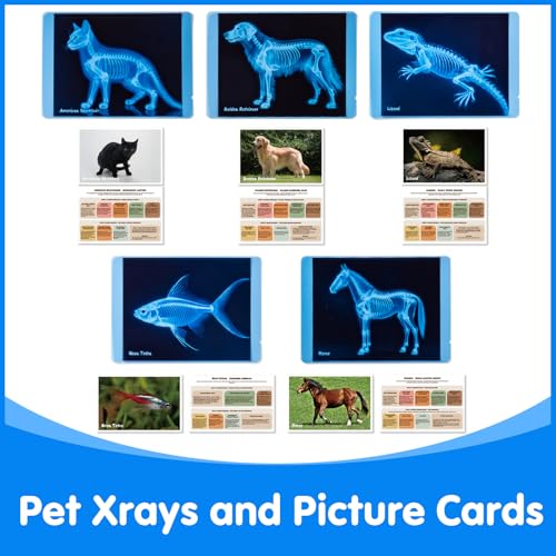 Odoorgames Pet Series Animal Xrays for Kids - Pet X-Rays Set, Light Table Manipulatives, Veterinarian Play Set & Dramatic ...