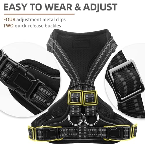 PUPTECK Dog Harness and Leash Set Small Sized, Adjustable Reflective Escape Proof Puppy Vest, No Pull Walking Harness Easy...
