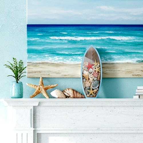 Novabright Coastal Decor Display Box Wooden Surfboard Holder with Clear Window Shell Box Shark Teeth Collection for Seashe...