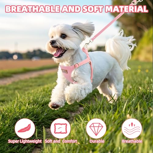 PUPTECK Dog Harness and Leash Set Small Sized, Lightweight Step-in Puppy Harness, Escape Proof No Pull Cute Pet Vest Harne...