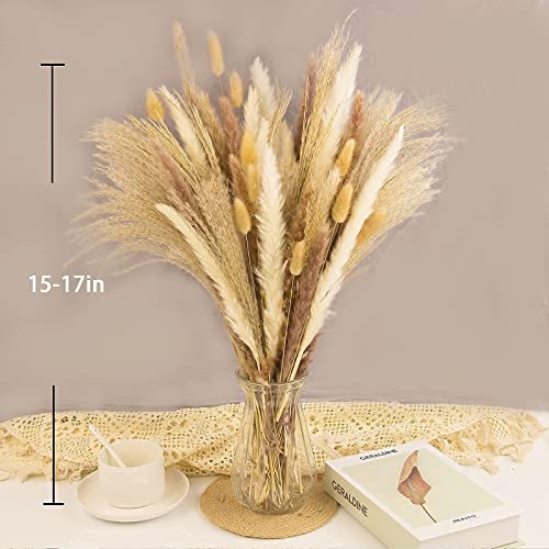 65PCS Pampas Grass Decor, Including pompas Floral, Reed Dried Grass and Bunny Tails Dried Flowers, Natural Dried Pampas Gr...