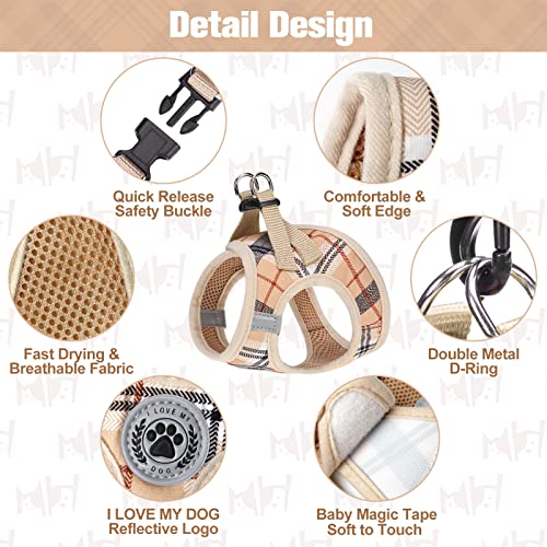 BEAUTYZOO Small Dog Harness and Leash Set,Step in No Choke No Pull Soft Mesh Dog Harnesses Reflective for Extra-Small Medi...